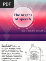 The Organs of Speech: Made by Kozachuk Darya, PR-61