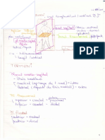 55758395 Cursurile de Anatomie Ale Doctorului Niculescu Topografie an I MG