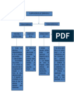 Mapa Cognitivo de Cajas