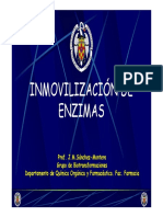 00_INMOVILIZACION_Introduccion.pdf