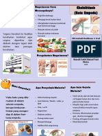 Leaflet Batu Empedu