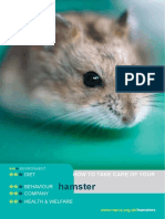 Hamster: How To Take Care of Your