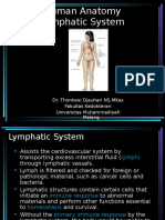 Human Anatomy Lymphatic System: Dr. Thontowi Djauhari NS, Mkes Fakultas Kedokteran Universitas Muhammadiyah Malang