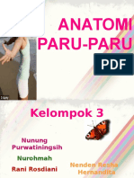 Anatomi Paru Paru