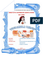 Diptico de La Literatura Incaica PDF