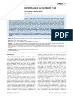 Large Number Discrimination in Newborn Fish: Laura Piffer, Maria Elena Miletto Petrazzini, Christian Agrillo