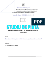 220233179-Studiu-Piata-Mase-Plastice.pdf