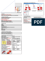 32631515-Drug-Haemolysis.pdf