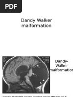 Schuller's View of Temporal Bone X-Ray | PDF | Ear | Hearing