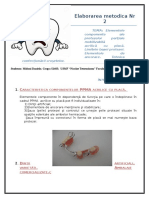 Elaborarea Metodică NR 2 MIDONI