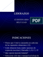 LEAD CUESTIONARIO.ppt