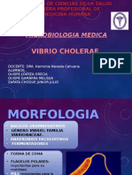 Vibrio Cholerae 