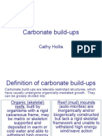 46619454-Carbonate-Build-Up.pdf