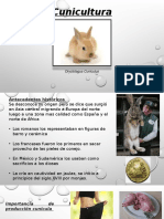 conejosssPresentación1.pptx