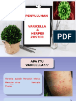 Penyuluhan Varicella Herpes Zoster