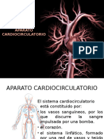 Cardiocirculatorio