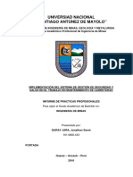 Informe de Prácticas Profesionales PDF