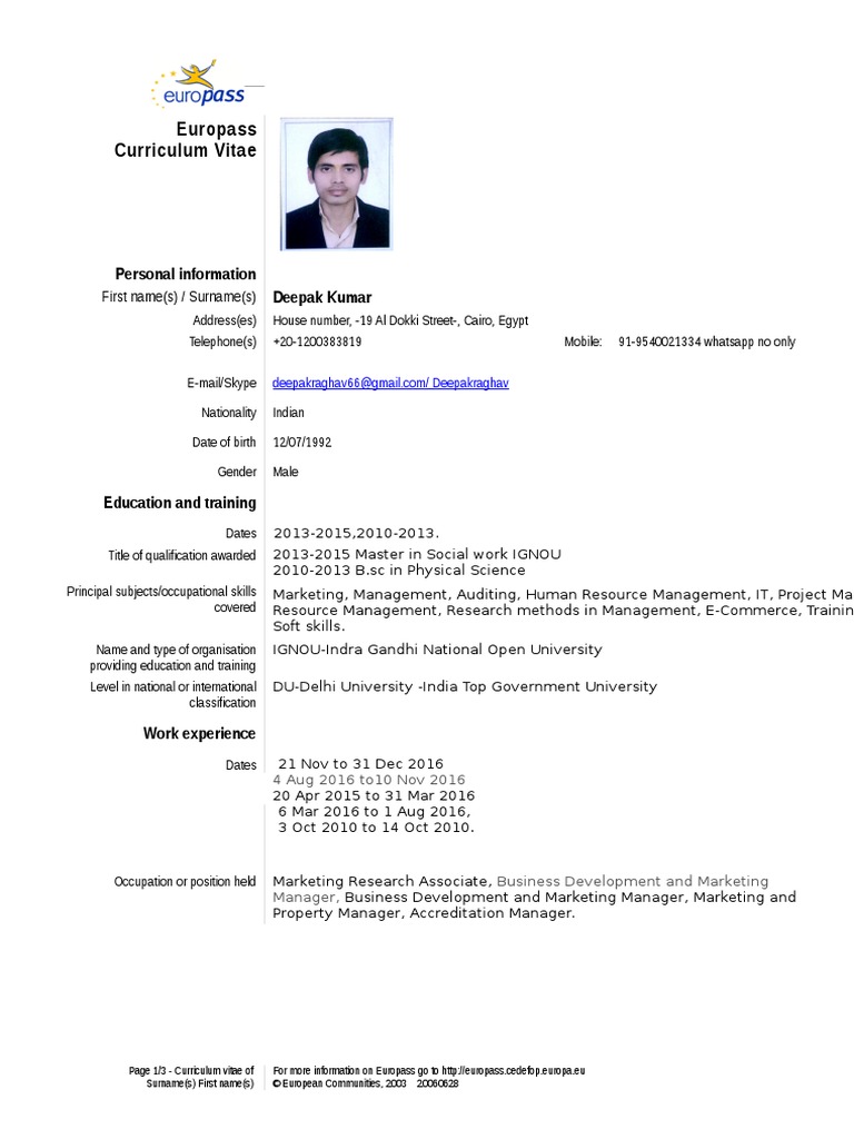DR Final Europass Format | PDF | Languages | Business