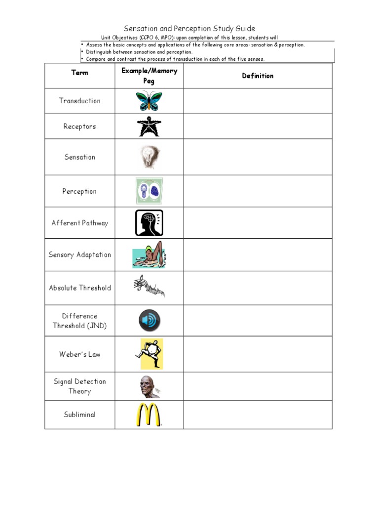 Sensation and Perception Study Guide | PDF | Perception | Senses