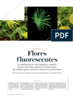 10 Flores Fluorescentes