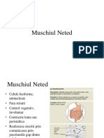 s1c4 muschiul neted 2016-suportcurs.pdf