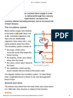 Circulatory System