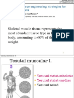 Muschi Note PDF