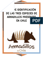 Guía de Identificación de Las Tres Especies de Armadillos Presentes en Chile