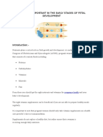 Nutrients Important in The Early Stages of Fetal Development