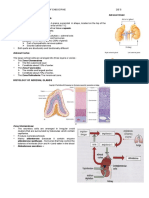 Adrenal Glands