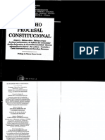 135824284 Derecho Procesal Constitucional Pablo Luis Manili