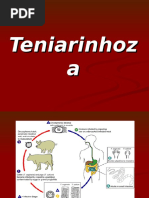 Teniarinhoza. 17