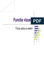 analizator vizual bun.pdf