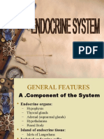 Endocrine System Ss