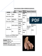 Clasificacion de Las Rocas Igneas de Acuerdo a Su Importancia Edafologica