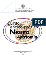 Curso Teórico-Prático de Neuroanatomia Funcional.pdf