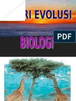 Teori Evolusi