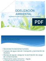 1-Modelado_calidad_agua_introducción - copia.pptx