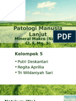 PATOLOGI Mineral Makro Dan Mikro