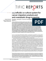 3microfluidic Co-Culture System For Cancer Migratory Analysis and Anti-Metastatic Drugs Screening