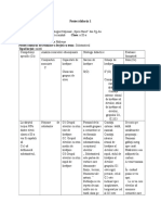 Proiect Didactic