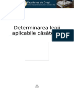 Determinarea-legii-aplicabile-casatoriei.docx