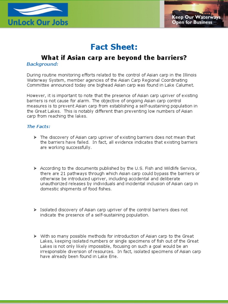 Carp Beyond The Barriers Fact Sheet | PDF | Great Lakes | Natural ...