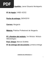 1 - Trabajo Practico de Practica Profesional de Abogacia