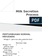 Milk Secretion Process