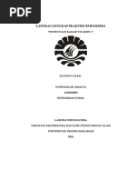 Download LAPORAN PENENTUAN KADAR VITAMIN C by Di Lah SN334697557 doc pdf
