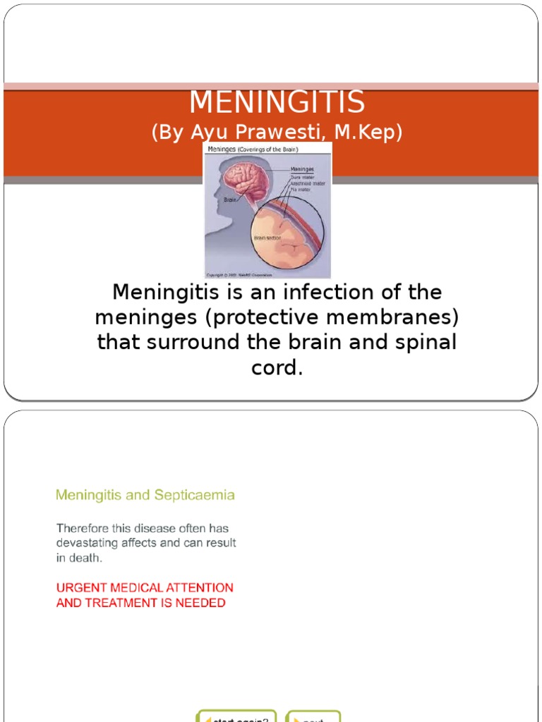 Essays on meningitis 04 picture