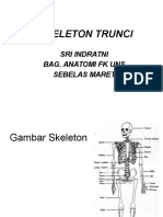 Skeleton Trunci