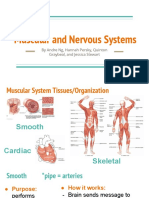 Nervous and Muscular Systems 1