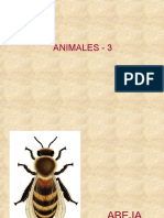 animales-3.ppt